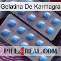 Karmagra Jelly viagra4